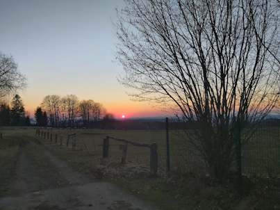 Im Vordergrund des Fotos befindet sich ein Feldweg, am Rand steht ein Zaun. Einige Sträucher und Bäume sind zu sehen. Es ist fast dunkel. Man sieht einen schönen Sonnenuntergang.